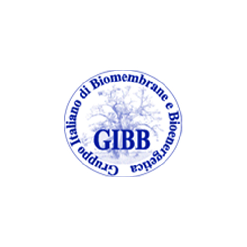 GIBB_Logo
